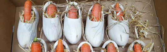 Sinterklaas zoals vroeger: samen de klomp zetten
