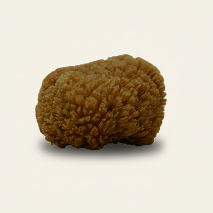 Natuurspons