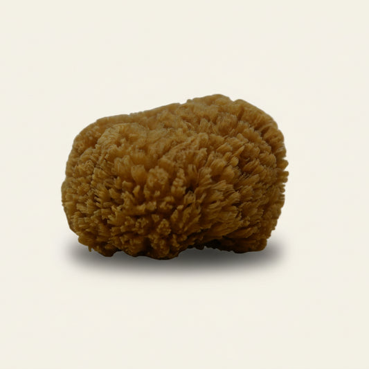 Natuurspons