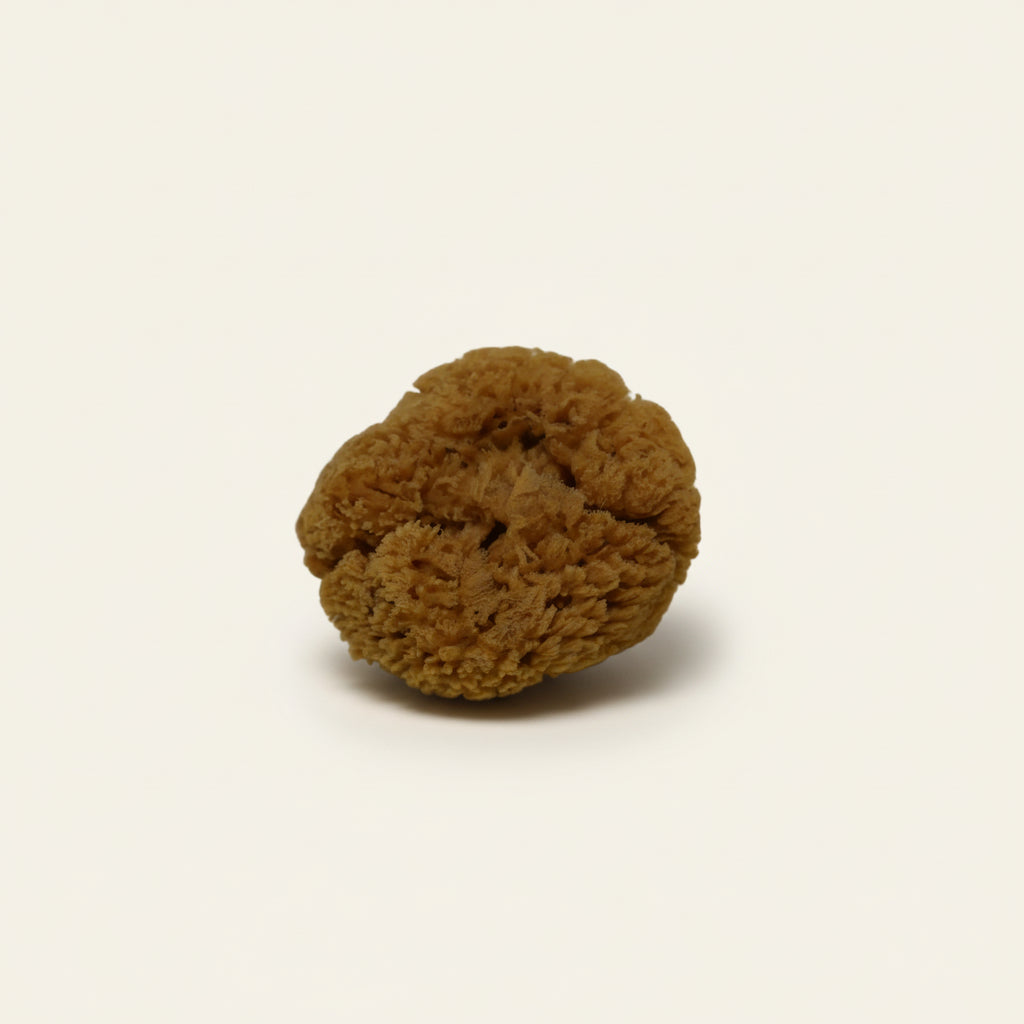 Natuurspons