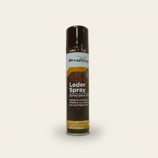 Bruynzeel lederspray - voor glad leer (250 ml)