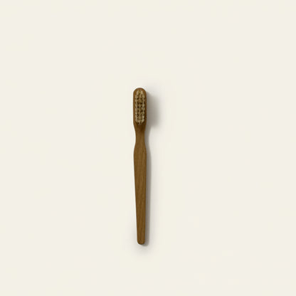 Tandenborstel van beukenhout met natuurborstels – 16,5 cm