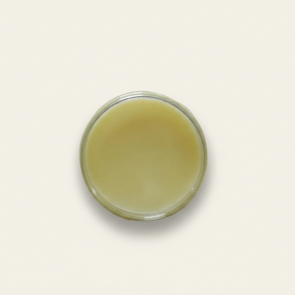 Wiertz zadelwas - natuurlijke leerzeep (250 ml)